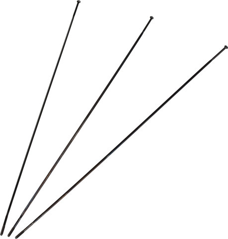 SRAM Spare Spokes for Roam 60 29" Wheelset - black/298 mm