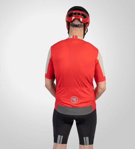 Endura FS260 Bibshorts Trägerhose - grey | M