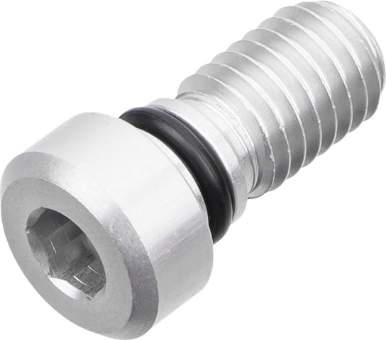 Magura Left Lower Leg Bolt - universal