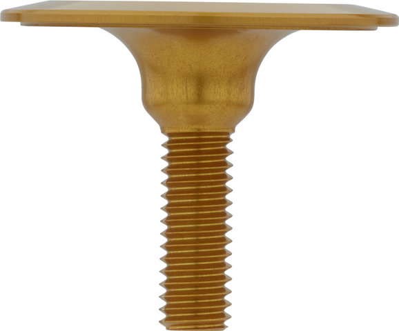 absoluteBLACK Premium Integrated Top Cap Ahead Kappe - gold