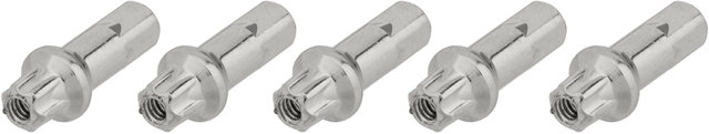 Pro Lock® Squorx Pro Head® Messing-Nippel 2,0 mm - 5 Stück - silber/15 mm