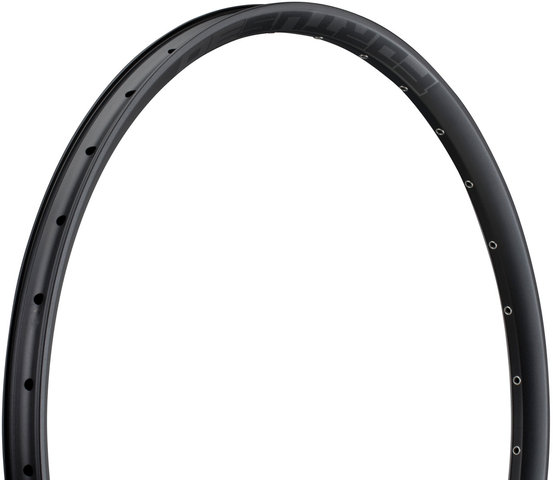 Hope Fortus 30 Disc 29" Rim - black/32 hole