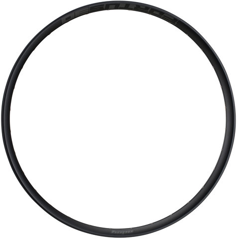 Llanta Fortus 30 Disc 29" - black/32 agujeros