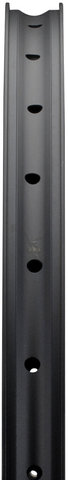 Llanta Fortus 30 Disc 29" - black/32 agujeros