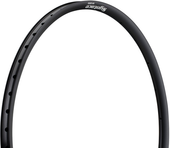 W25i Disc 28" Rim - black/24 hole