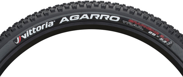 Vittoria Pneu Souple Agarro TNT G2.0 29+ - anthracite/29x2,6