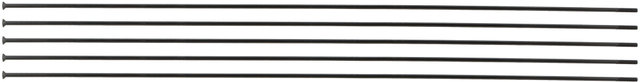Radios Champion® Straightpull 2.0 - 5 unidades - black/286 mm