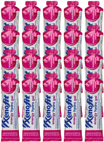 Xenofit energy hydro gel - 20 pcs. - wild berry/1200 ml