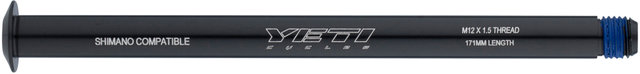 Bolt On Boost Rear Thru-Axle, 12 mm - black/12 x 148 mm