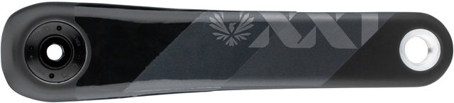 Biela XX1 Eagle DUB Carbon sin potenciómetro - black/175,0 mm