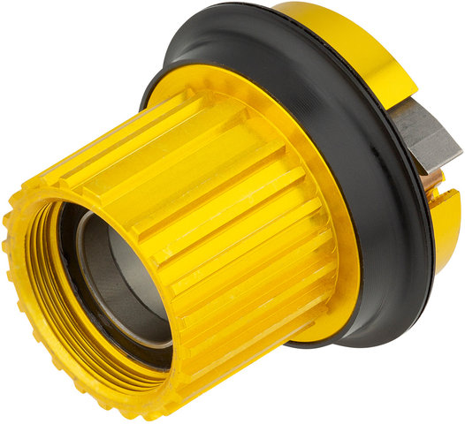 Conversion Kit w/ Freehub Body Endurance for X-12 Thru-Axle - gold/Shimano Micro Spline