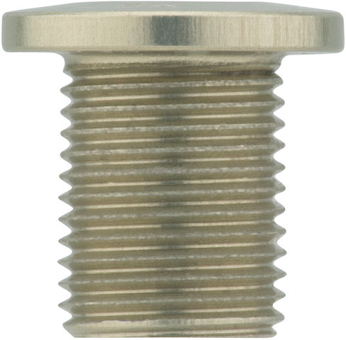 Tornillos de plato rosca M8 4 brazos 10 mm - silver/10 mm