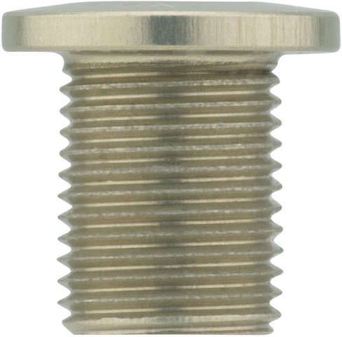Vis de Plateau Filetées M8 4 bras 10 mm - silver/10 mm