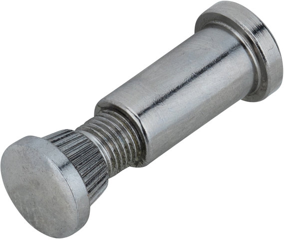 Cinelli Replacement Screw for 1A Stem - silver/universal