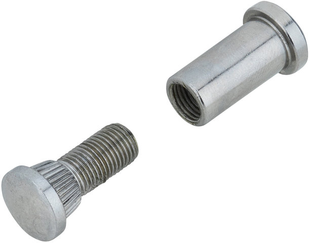 Replacement Screw for 1A Stem - silver/universal