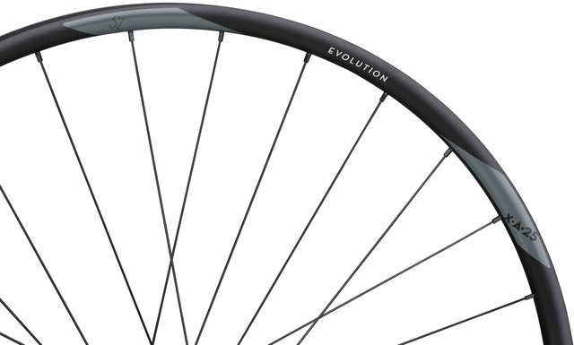 Juego de ruedas Evolution SL X.A.25 FADE Boost Disc 6 agujeros 29" - black-black/Juego 29" (RD 15x110 Boost + RT 12x148 Boost) Shimano Micro Spline