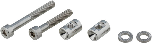 Bolts for Vyron eLECT Saddle Clamps - silver/universal
