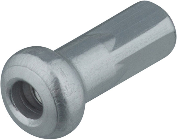 DT Swiss Cabecilla de aluminio Pro Lock® Hidden 2,0 mm- 100 unidades - plata/12 mm