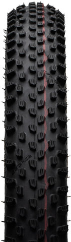 Schwalbe Pneu Souple Racing Ray Evolution ADDIX Speed Super Race 29" - noir-transparent skin/29x2,35