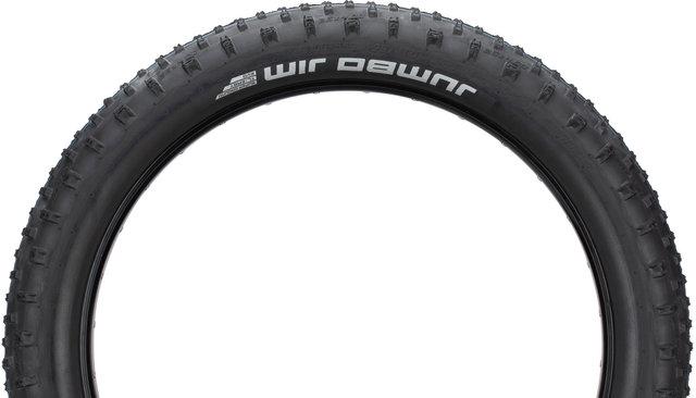 Schwalbe Jumbo Jim Evo ADDIX SpeedGrip SuperGround 26" Fat Bike Folding Tyre - black/26x4.0