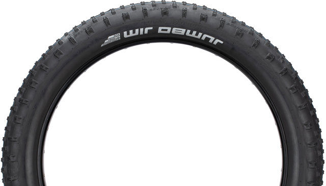 Schwalbe Pneu Souple Jumbo Jim Evo ADDIX SpeedGrip SuperGround 26" Fatbike - noir/26x4,0