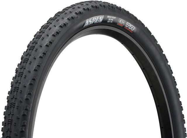 Aspen Dual EXO WT TR 29" Folding Tyre - black/29x2.4