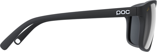 Gafas Will - Fabio Wibmer Edition - uranium black mate-gold/grey