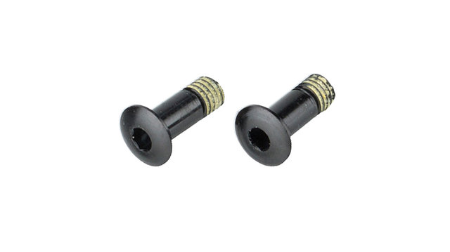 Campagnolo Bolts for Super Record Derailleur Pulley Models as of 2011 - universal/universal