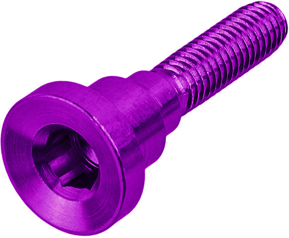 Ersatzschraube für Ahead Kappe - purple/universal Ersatzschraube für Ahead Kappe - purple/universal