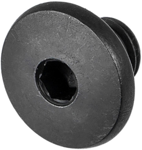 Shimano Bleed Nipple for BL-M785 / BL-T785 / BL-S700 - black/universal