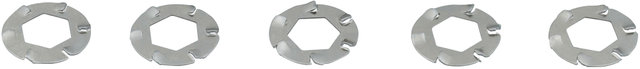 Spring Washers for Pitlock Locks - silver/universal