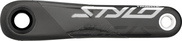Truvativ Juego de bielas Stylo Carbon Eagle Direct Mount DUB 12 velocidades - black/170,0 mm