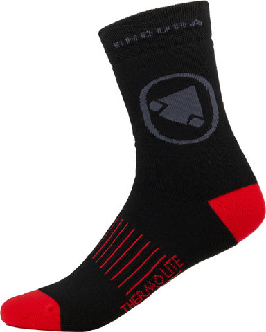 Endura Thermolite II Socks 2-pack - black/37 - 42