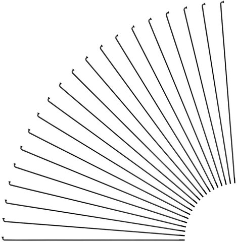 Rayons Leader J-Bend + Écrous - 20 pièces - noir/298 mm