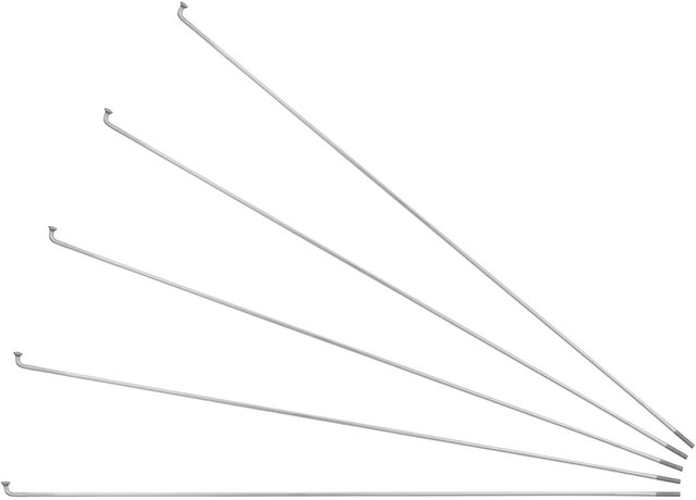 Sapim Race J-Bend Speichen für Rohloff + Nippel - 5 Stück - silber/282 mm