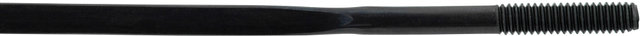 Rayons CX-Ray Straightpull + Écrous - 5 pièces - noir/304 mm
