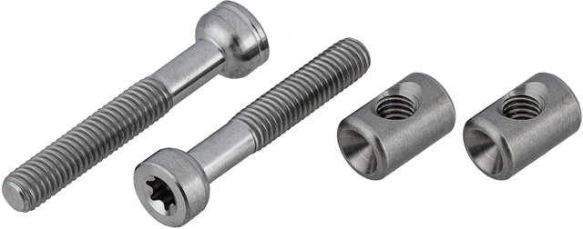 BikeYoke Titanium Saddle Clamp Bolts - titanium/universal