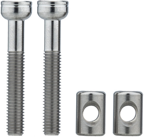 Titanium Saddle Clamp Bolts - titanium/universal