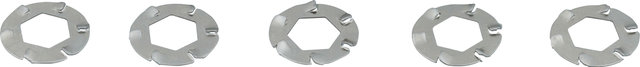 Pitlock Spring Washers for Pitlock Locks - silver