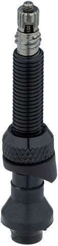 DT Swiss Aluminium Tubeless Valve for Asymmetrical Rims - black/SV 18-25 mm