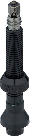 DT Swiss Tubeless Valve Cyl Nut for Symmetrical Rims - black/SV 18-25 mm