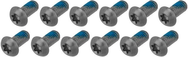 SRAM Titanium Bolts for Brake Rotors - silver/universal