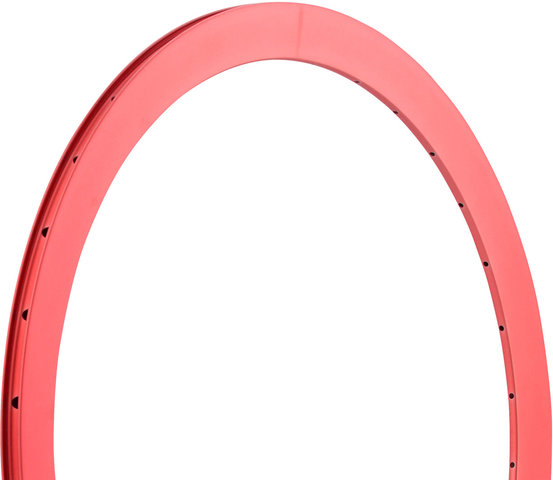 Formation Face 28" Felge - red/36 Loch