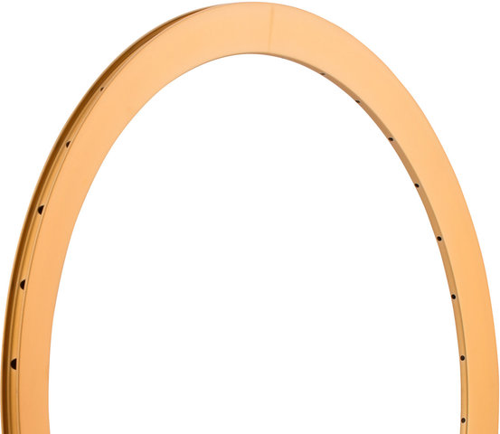 Formation Face 28" Felge - gold/32 Loch