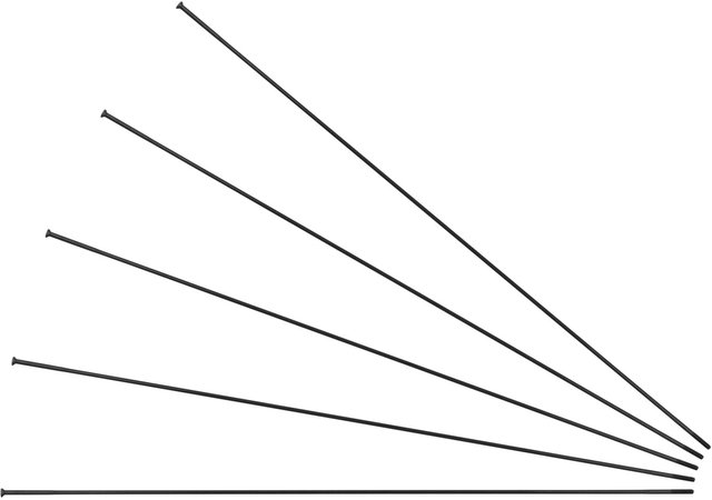 Sapim Rayons Race Straightpull + Écrous - 5 pièces - noir/298 mm