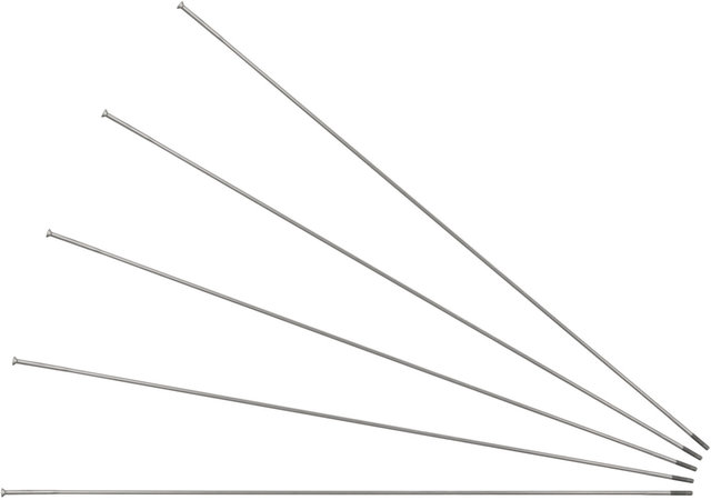 Rayons Race Straightpull + Écrous - 5 pièces - argenté/298 mm