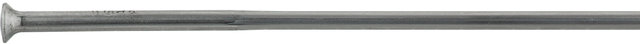 Rayons Race Straightpull + Écrous - 5 pièces - argenté/298 mm