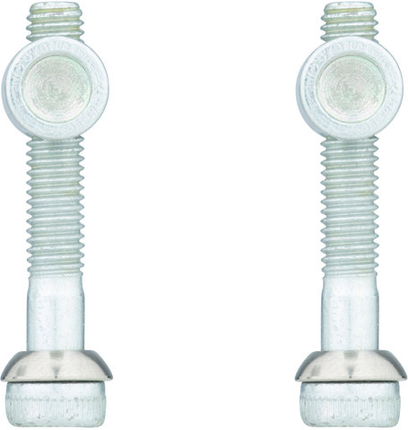 Schraube für Dropper Sattelstütze - silber/universal