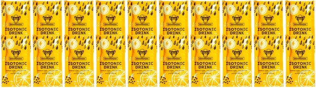 Boisson Sportive Isotonique Energy Drink - 20 pièces - orange/600 g