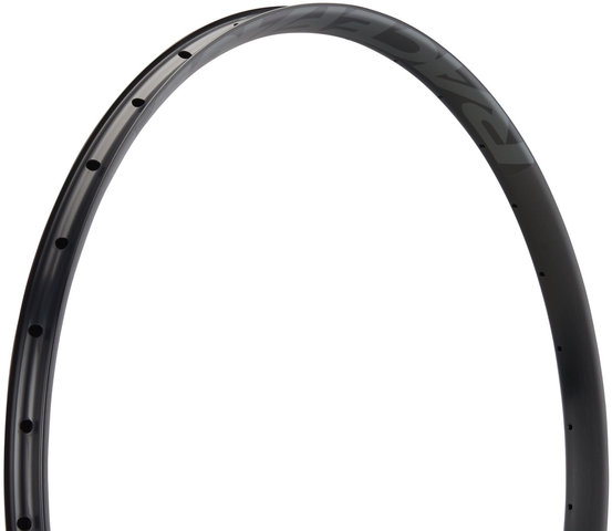 Race Face Jante AR Offset 30 29" - black-grey/32 trous